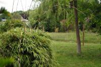 Grundstück kaufen Christinendorf klein jcg0ubcdn7yw