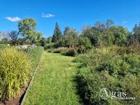 Grundstück kaufen Cölpin klein ewpdv6qtcp1h