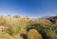 Grundstück kaufen Coin klein 44ahd1n80zqx