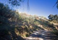 Grundstück kaufen Coin klein 7k4lh2j60fbn