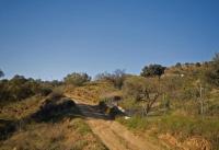 Grundstück kaufen Coin klein ujshuoi3kxof