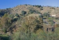 Grundstück kaufen Coin klein ysuqg01lore1