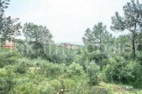 Grundstück kaufen Costa d'en Blanes klein maaqpo6kzc4j