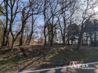 Grundstück kaufen Coswig klein 1tde9p24htyo