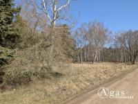 Grundstück kaufen Coswig klein dpb2vtqo0lmp