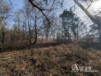 Grundstück kaufen Coswig klein li9pi7wanp6y