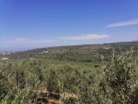 Grundstück kaufen Darmarochori klein m09pum5h1pia