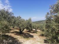 Grundstück kaufen Darmarochori klein mwqj0gh2ipq4