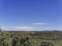 Grundstück kaufen Darmarochori klein xotuetpzxisp