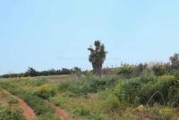 Grundstück kaufen Deryneia klein 4sgp0tix0mh5