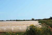 Grundstück kaufen Deryneia klein lbv1i3hn6zuf