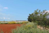 Grundstück kaufen Deryneia klein sdnt40xof4a9