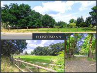 Grundstück kaufen Doberschütz klein kggp9mxrn45s