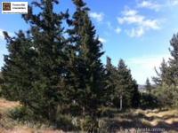 Grundstück kaufen Douliana klein lghga9medfa3