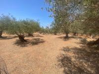 Grundstück kaufen Drapanos klein 0ua5e6bl3sso