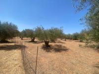 Grundstück kaufen Drapanos klein al0jgas5b11f