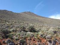 Grundstück kaufen Drapanos klein pxenjdyn72w0