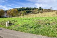 Grundstück kaufen Dümpelfeld klein bzt3douk16go