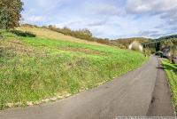 Grundstück kaufen Dümpelfeld klein tsuceppa82nt