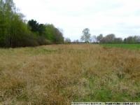 Grundstück kaufen Ehra-Lessien klein 9is13lcg7fxi