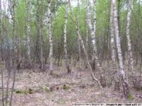 Grundstück kaufen Ehra-Lessien klein adr4y1xrn54f