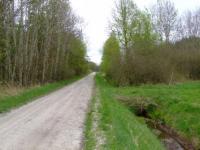 Grundstück kaufen Ehra-Lessien klein qbome5z341w0