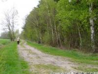 Grundstück kaufen Ehra-Lessien klein rterk2xkmc2y