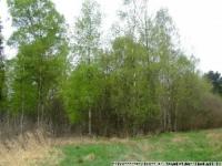 Grundstück kaufen Ehra-Lessien klein ujulzmhdl1ct