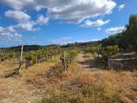 Grundstück kaufen Elliniko klein 6e4oa2fp8cm9