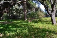 Grundstück kaufen Elviria klein 9v2pz81d7g4b