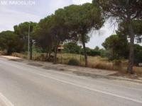 Grundstück kaufen ELVIRIA klein nffasnwwecdj