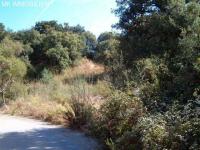 Grundstück kaufen ELVIRIA klein v1glttdkchic