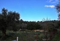 Grundstück kaufen Episkopi bei Rethymno klein xl31bjb9tdvf