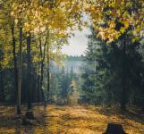 Grundstück kaufen Feldkirchen-Westerham klein 24mye1gjl0ct