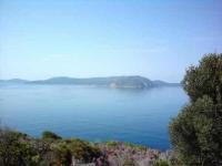 Grundstück kaufen Foinikounda Messenia klein rtl7z9gkno5a