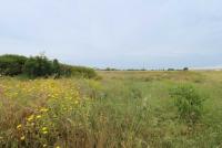 Grundstück kaufen Frenaros klein 5skr81kzut2f