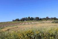 Grundstück kaufen Frenaros klein z51mt7efxxm4