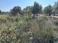 Grundstück kaufen Gallos klein 7xk2ifjz4tdf