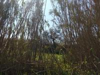 Grundstück kaufen Gerani bei Chania klein 1s7qw5z45z9m