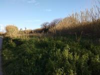 Grundstück kaufen Gerani bei Chania klein ugwqti7pxpd6