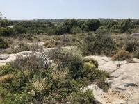 Grundstück kaufen Gerani bei Rethymno klein 6efyz97vpb4c