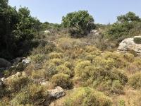 Grundstück kaufen Gerani bei Rethymno klein rop6mddpqa80