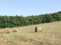 Grundstück kaufen Giuncarico klein mrbsrtdqi5ni