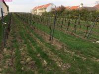 Grundstück kaufen Gols klein lm4aj05i91ao