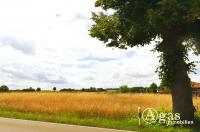 Grundstück kaufen Groß Miltzow klein uixoneulfapn