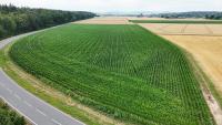 Grundstück kaufen Groß-Umstadt klein x9vjnjrr8y1e