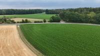 Grundstück kaufen Groß-Umstadt klein ztur0utvbmj3
