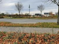 Grundstück kaufen Halle (Saale) klein n0femhtfj4xq