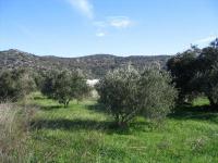Grundstück kaufen Hamilo, Lakonia, Agios Nikolaos, Lasithi, Kreta klein 1u3nvblb5e7n