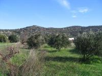 Grundstück kaufen Hamilo, Lakonia, Agios Nikolaos, Lasithi, Kreta klein 8u90j66zxcu5